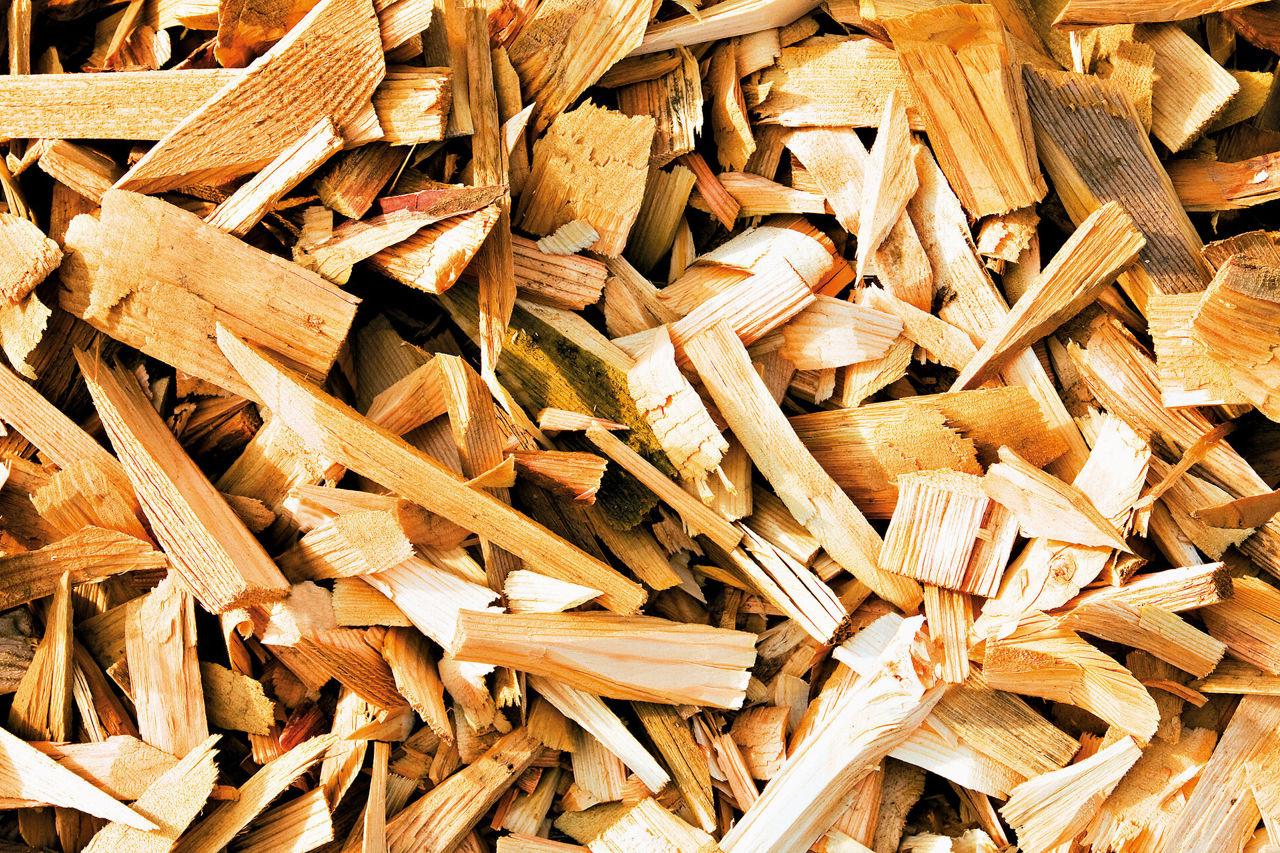 Wood used for biofuel